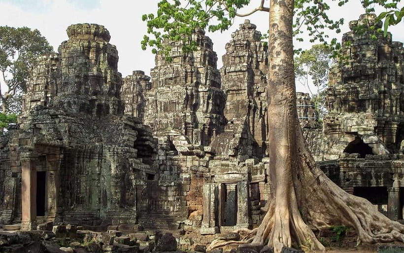 Angkor Wat: Full-Day Guided Sunset Tour - Ta Prohm: where the jungle takes center stage