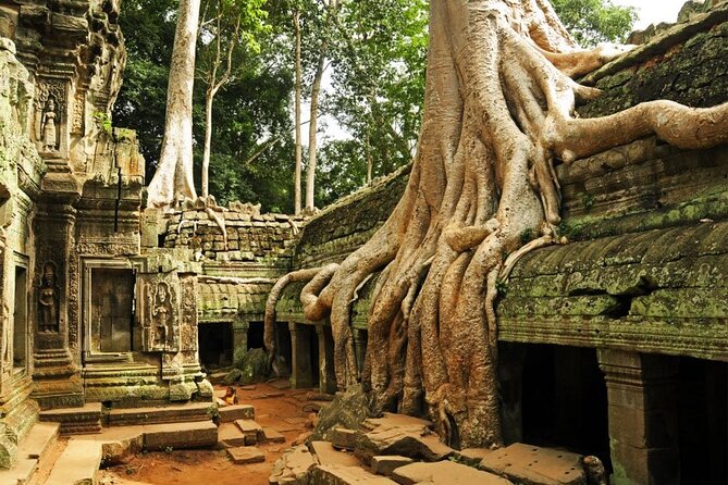 Angkor Wat full Day 'Small Group with sunset & Tour Guide - Phnom Bakheng and the sunset promise