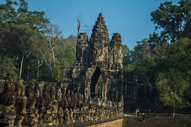 Angkor Wat highlight Tour From Sunrise -Small Group - Ta Prohm, where the jungle takes over