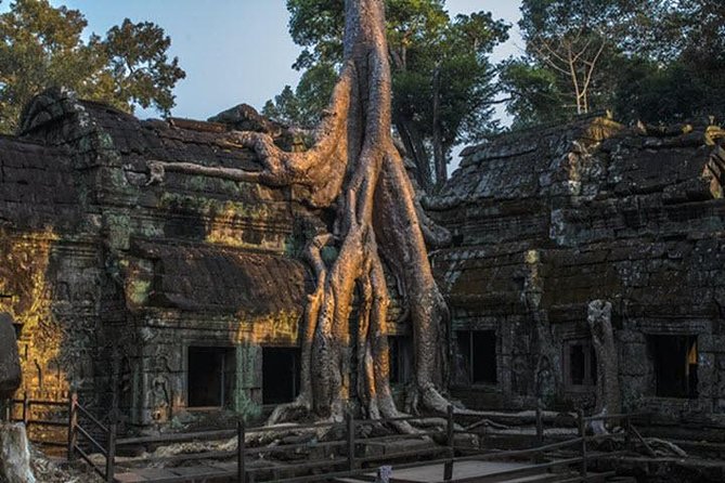 Angkor Wat highlight Tour From Sunrise -Small Group - What the guide adds to the temples