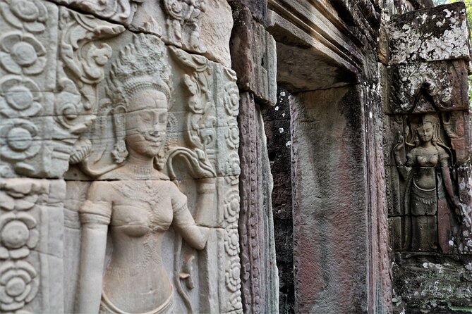 Angkor Wat Highlights and Sunrise Guided Tour from Siem Reap - Ta Prohm, where jungle and stone meet