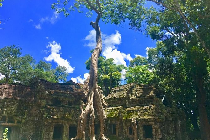 Angkor Wat one Day Private Tour for All Highlight Angkor Temples - Angkor Thom, Baphuon, and the royal center