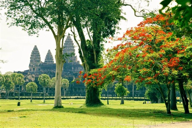 Angkor Wat one Day Private Tour for All Highlight Angkor Temples - The Elephants and Leper King terraces