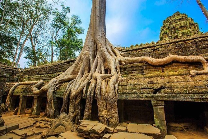 Angkor Wat one Day Private Tour for All Highlight Angkor Temples - Ta Prohm, where trees take over the ruins
