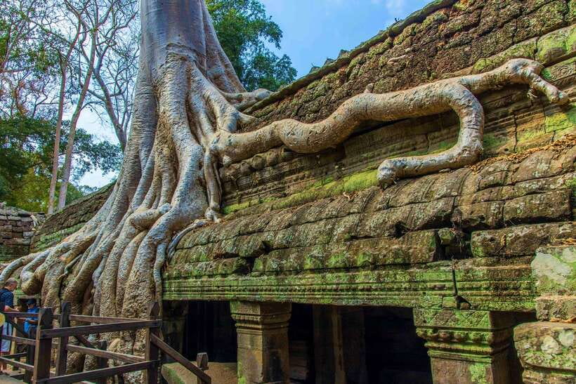 Angkor Wat one Day Private Tour for All Highlight Temples - Bayon’s stone faces and Angkor Thom’s royal center