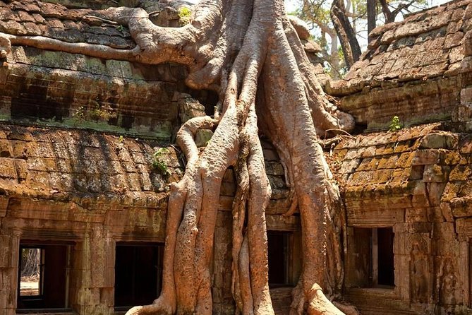 Angkor Wat Private Day Tour - Three hours at Angkor Wat and the sunset finish