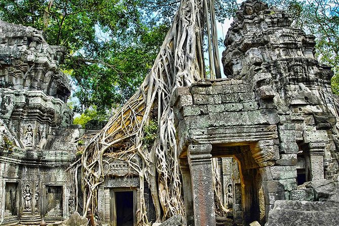 Angkor Wat Private Tour in a Tuk Tuk - The guide can make or break the day