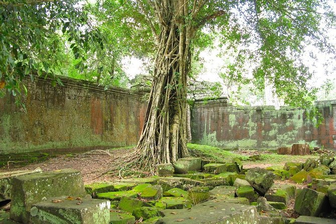 Angkor Wat Private Tour with English Speaking Driver, NO guide - Tuk tuk comfort, minivan space, and hotel pickup