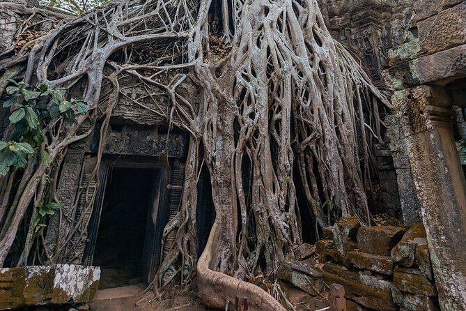 Angkor Wat Private Tuk-Tuk Tour (sunrise Option) & more - Bayon’s stone faces and carved scenes