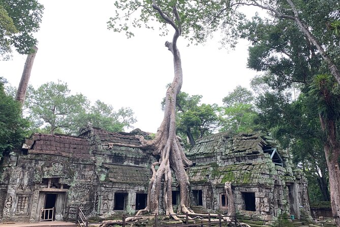 Angkor Wat Small Circuit & Sunset Tour - Entering Angkor Thom through the Victory Gate