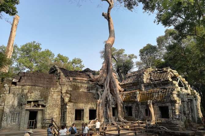 Angkor Wat Small Circuit Tour - What you are really paying for in Siem Reap