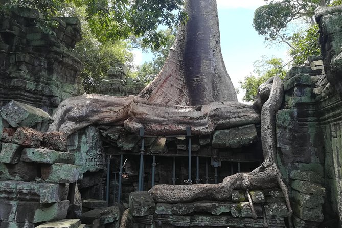 Angkor Wat Small Circuit Tour - Ta Prohm, where trees meet stone