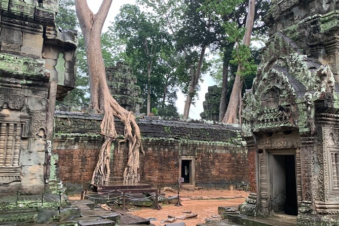Angkor Wat Small Circuit Tour - Timing, food, and what to bring