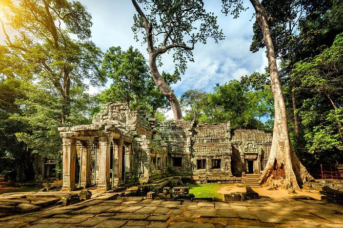 Angkor Wat Small-Group Exploration with Expert Guide - Ta Prohm: the atmospheric finale
