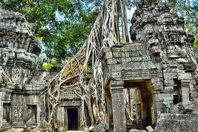Angkor Wat Small-Group Exploration with Expert Guide - What the guides add to the stonework