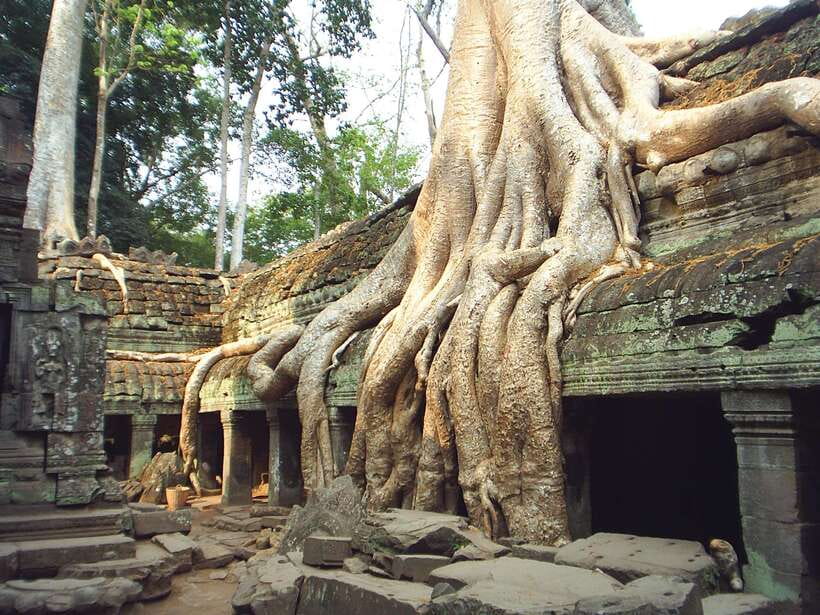 Angkor Wat: Small-Group Tour with Balloon Ride and Lunch - Key points to know before booking