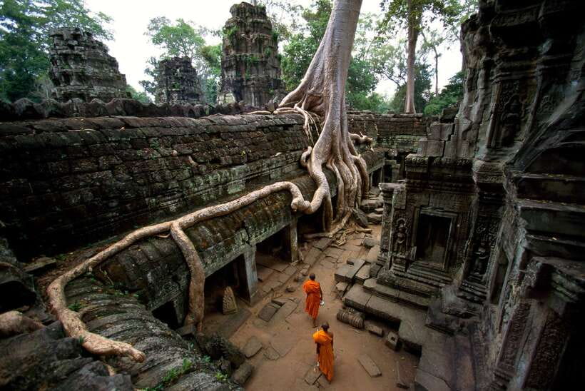 Angkor Wat: Small-Group Tour with Balloon Ride and Lunch - Ta Prohm and the trees over the ruins