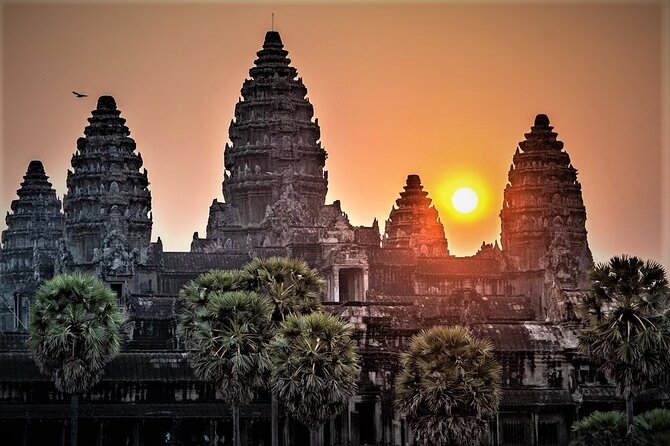 Angkor Wat Sunrise & All Highlight Angkor Temple Private Day Tour - Ta Prohm and the famous tree roots