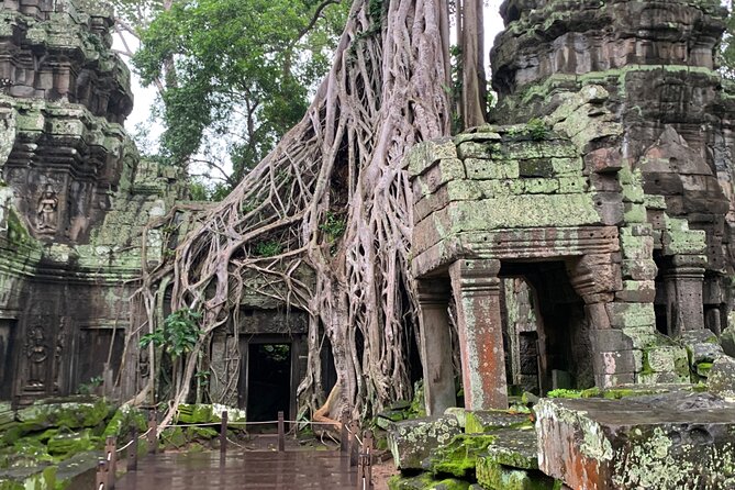Angkor Wat Sunrise and Angkor Thom Sunset Tour - The hotel break is more than a convenience
