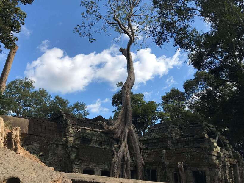 Angkor Wat Sunrise by Vintage Jeep – Private Tour - Angkor Wat sunrise and the first three hours