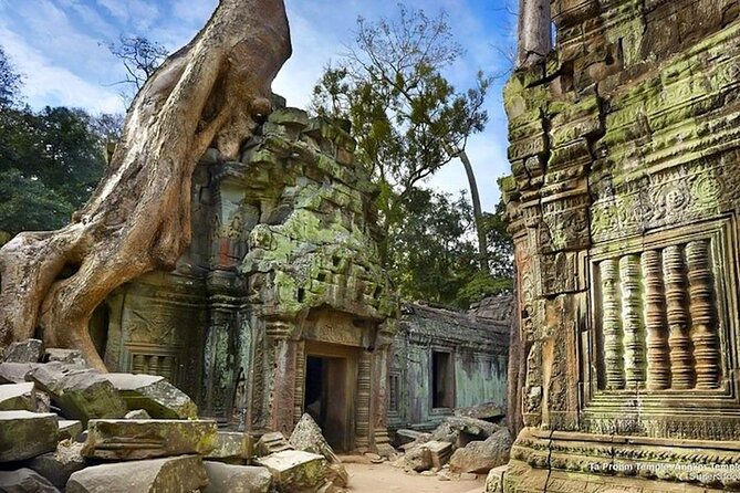 Angkor Wat Sunrise: Exclusive Private Tour! - Ta Prohm, where the jungle takes its turn