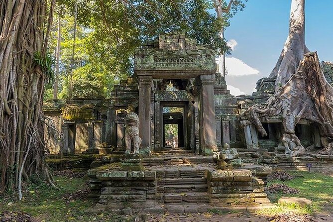 Angkor Wat Sunrise: Exclusive Private Tour! - What the private guide adds