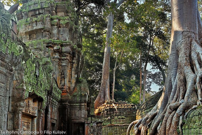 Angkor Wat Sunrise or Sunset Tour with Guide from Siem Reap - Transport, group size, and the real value of $18