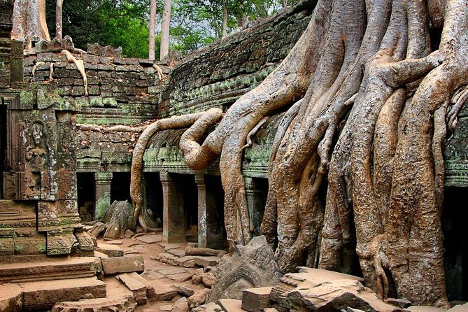 Angkor Wat Sunrise or Sunset Tour with Guide from Siem Reap - Sunrise or sunset, and who should choose which