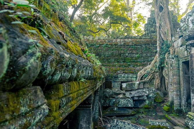 Angkor Wat Sunrise or Sunset Tour with Guide from Siem Reap - Ta Prohm and the roots that made it famous