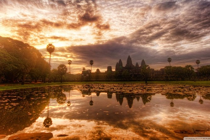 Angkor Wat Sunrise Private Experience with Guide from Siem Reap - Ta Prohm and its tree-covered ruins