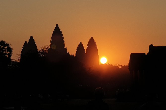Angkor Wat Sunrise Private Full Day Tour - Ta Prohm and the power of the jungle setting
