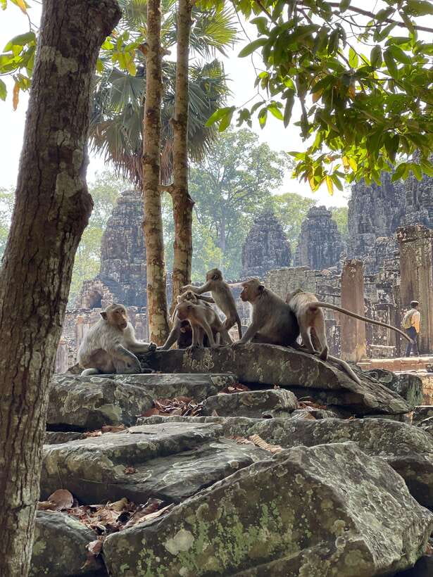Angkor Wat Sunrise Private Full Day Tour - What the $77 price really buys you