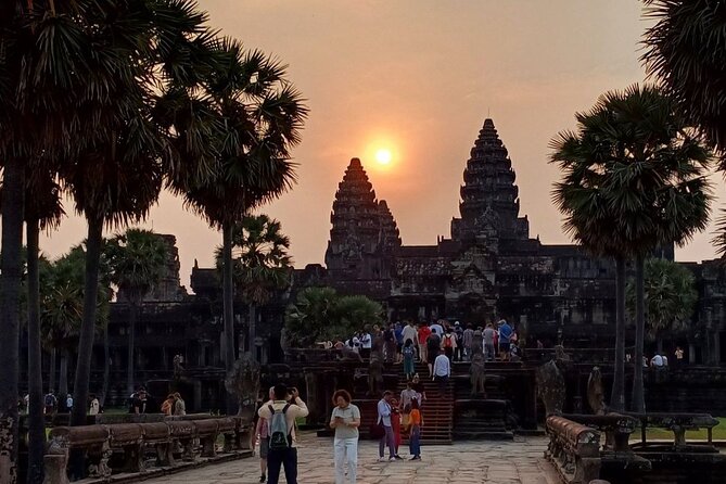 Angkor Wat Sunrise Tour - Ta Prohm: where trees and stone share the frame