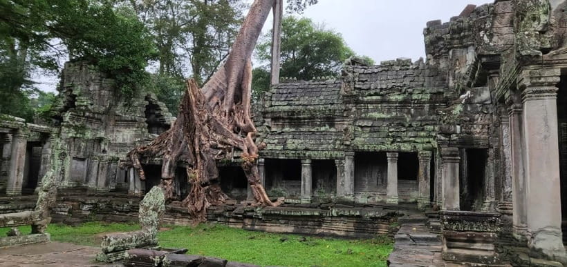 Angkor Wat Temples Car Tour: multi-language guide options - Entering Angkor Thom through the South Gate