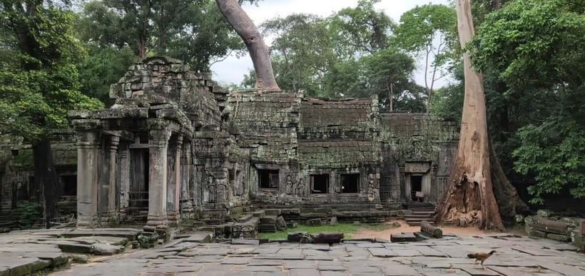 Angkor Wat Temples Car Tour: multi-language guide options - Bayon, Baphuon, and the royal center