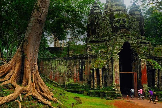 Angkor Wat Temples Tour with Entrance Ticket and Lunch - Ta Prohm And The Trees Among The Ruins