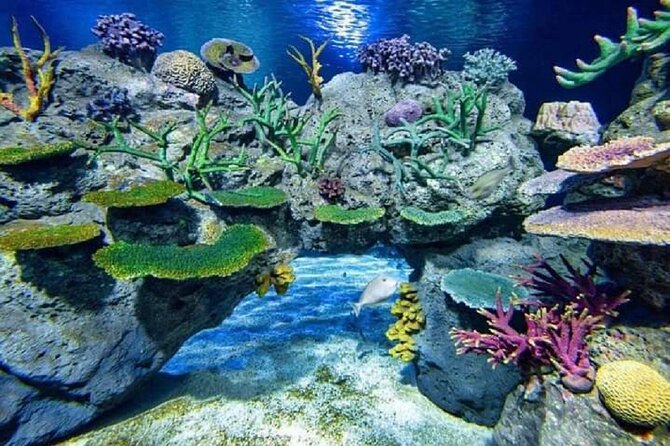 Angkor Wildlife & Aquarium Halfday tour - What the $29 tour actually gives you