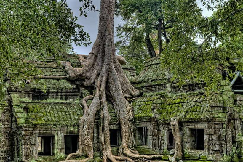 Angkor Zipline and Discover Highlight Angkor wat with Sunset - Angkor Thom and the faces of Bayon