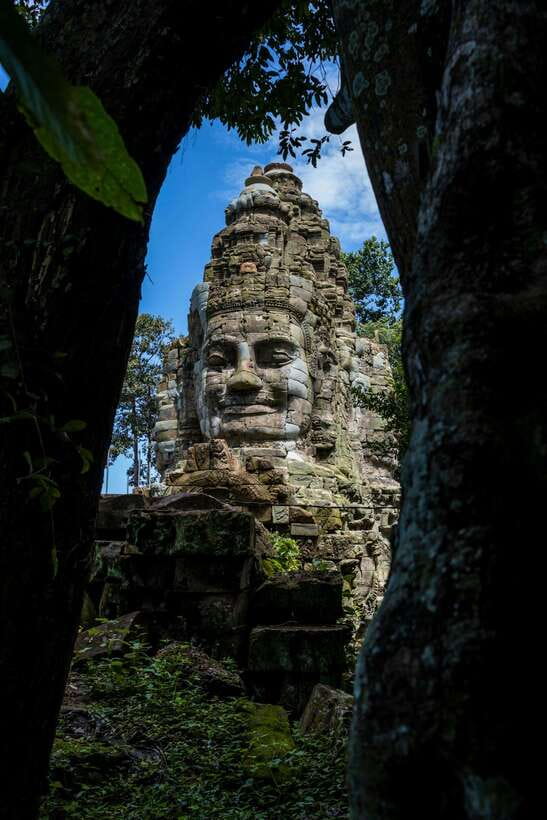 Angkor Zipline and Discover Highlight Angkor wat with Sunset - The Silver Course at the Orchid House