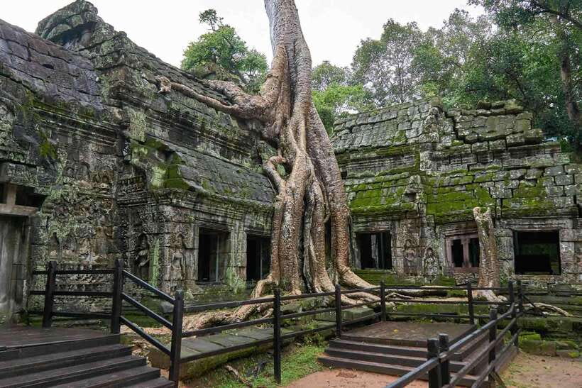 Angkor Zipline and Temple Tour with Sunset - Key points to know before booking