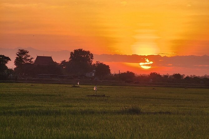 ATV Grand Sunset Tour - Watching sunset among buffalo and rice fields
