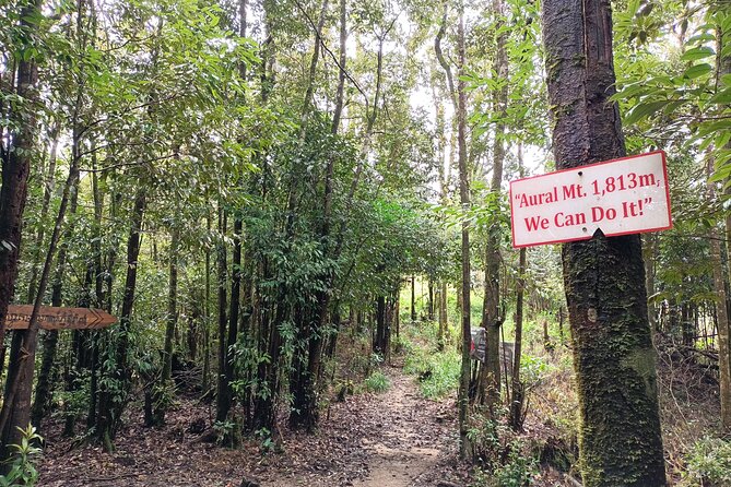 Aural Mountain Trek: Cambodia Tallest Peak Challenge - Reaching Cambodia’s highest peak