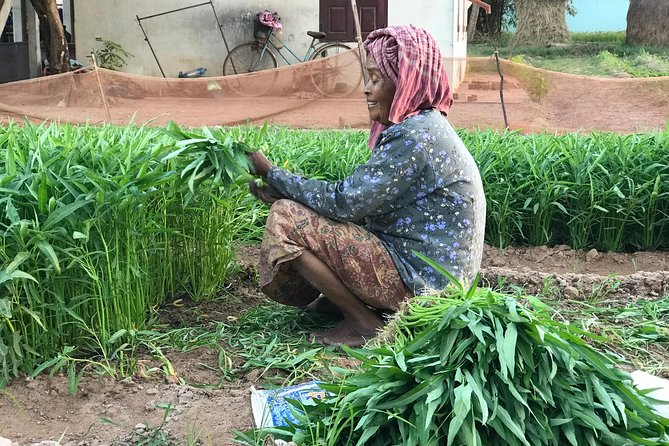 Authentic Cambodian Countryside Jeep Experience - Ducks, farming, and a more personal rural view