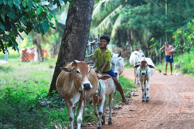 Authentic Siem Reap: Tuk Tuk Countryside and Sunset Tour - Sunset at Phnom Krom and the lotus meal
