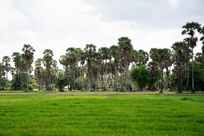 Authentic Siem Reap: Tuk Tuk Countryside and Sunset Tour - The local market: start with everyday Cambodia
