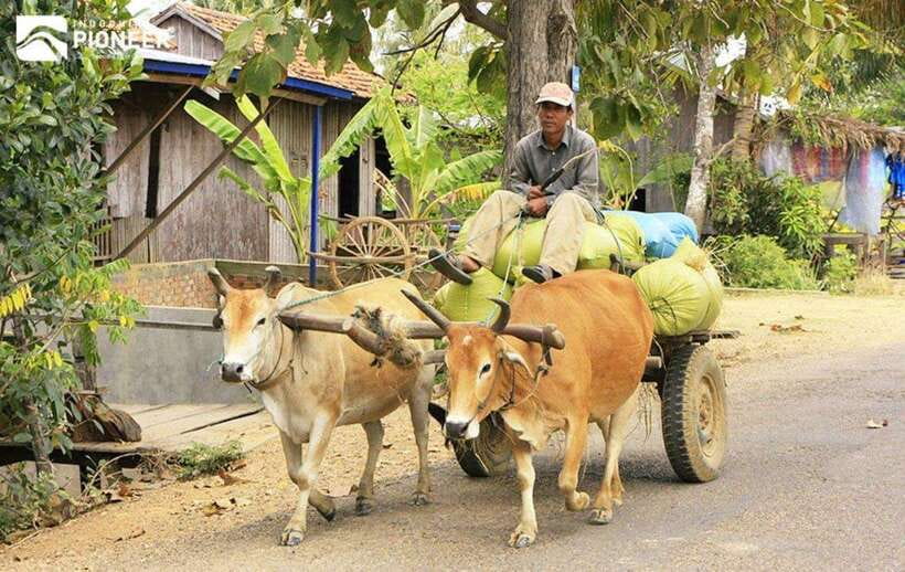 Back to Basics: Siem Reap Village Tour in Cambodia - Simple ways to make the visit better