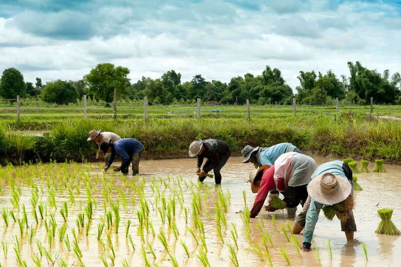 Back to Basics: Village Life Tour from Siem Reap - Leaving Siem Reap for village roads