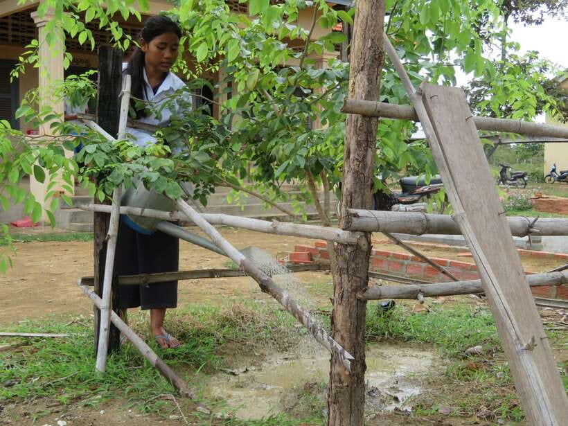 Back to Basics: Village Life Tour from Siem Reap - Markets, palm leaves, and the taste of the village