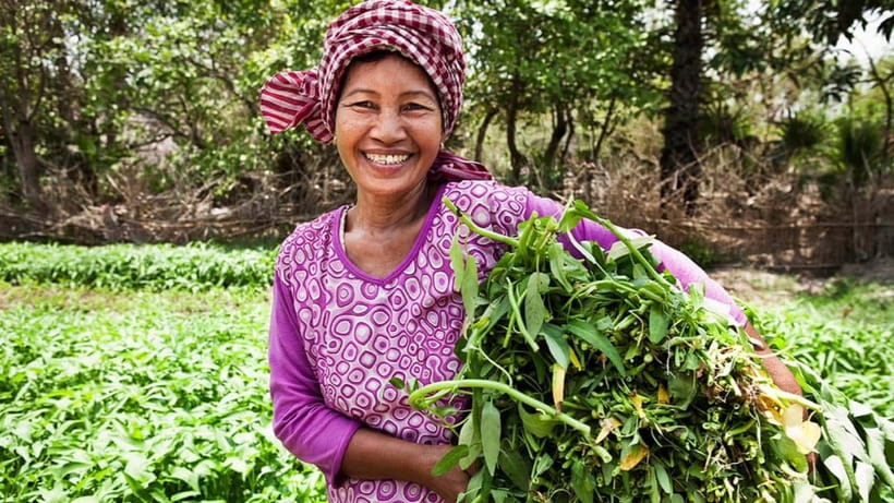 Back to Basics: Village Life Tour from Siem Reap - Meeting families who still make things by hand