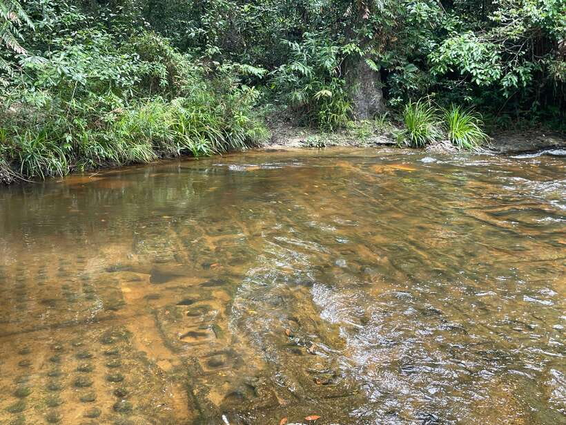 Banteay Srei, Kulen Waterfall & Beng Mealea Small-Group Tour - Beng Mealea: Cambodia’s rough-edged temple